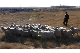 龙亭为什么选择专业追讨公司来处理您的债务纠纷？